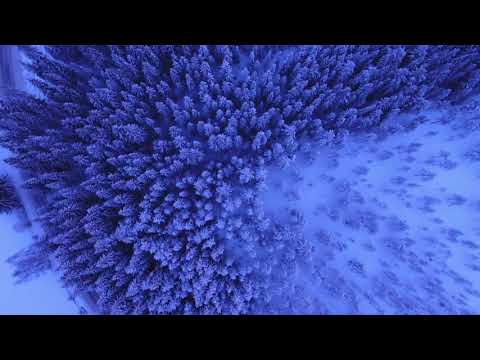 Đứng lên con trai - Lân Nhã