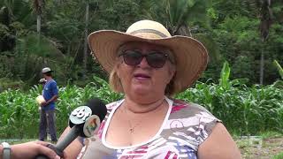 Miniatura do vídeo