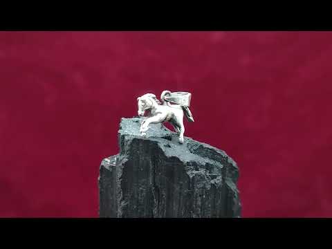 Speedy Horse Locket in Pure Silver video