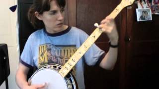 Wheel Hoss - Excerpt from the Custom Banjo Lesson from The Murphy Method