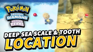 How to get DEEP SEA TOOTH & DEEP SEA SCALE | Pokemon Brilliant Diamond Shining Pearl