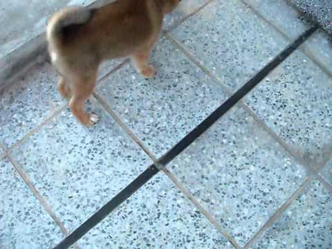 Meki上頂樓玩~~(原發表者:MEKI麻)(影片)