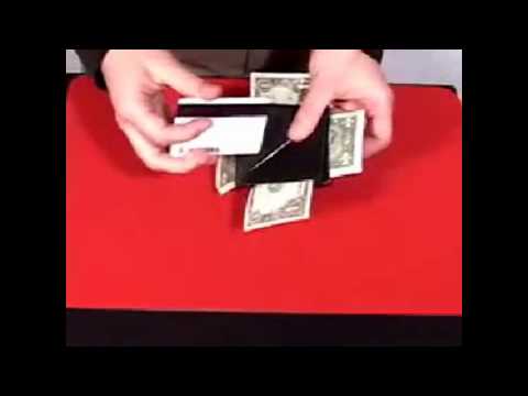 Double Crossed Dollars / SEO MAGIC