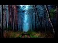 Diary Of Dreams - Grey The Blue 