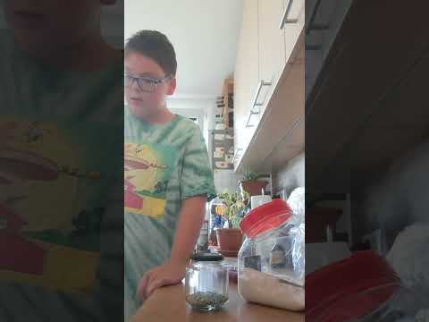 recept na grimic shake