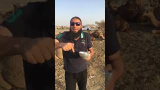 صورة الإعجاز العلمي في القرآن و السنة .. ﴿ أفَلَا ينظُرون إِلَى الْإِبِل كَيفَ خُلقَت ﴾ .. د . حازم شومان