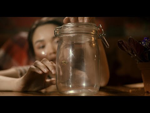 download lagu mp3 mp4 красные розы, download lagu красные розы gratis, unduh video klip красные розы