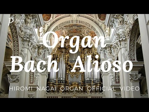 IUCN分類における絶滅の危険性を示す図。