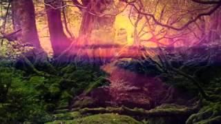 Armand Amar   Save Us