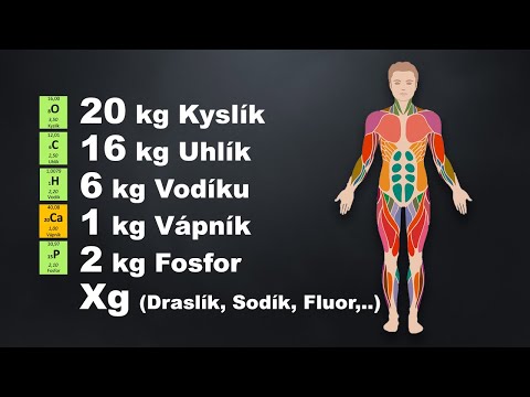 LIDSKÉ TĚLO: Z čeho se skládá člověk