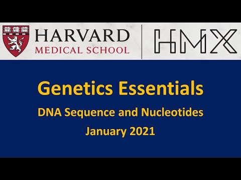 An overview of DNA sequence and nucleotides