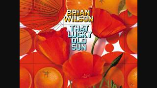 Brian Wilson - Goin&#39; Home