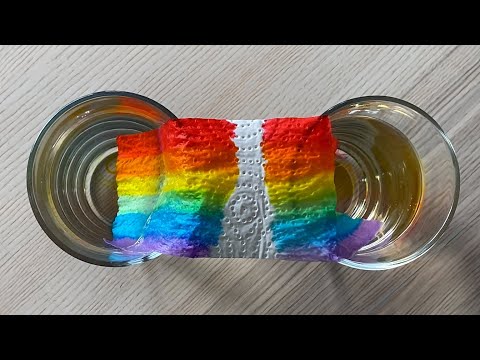 6 easy water experiments for kids💧🥼