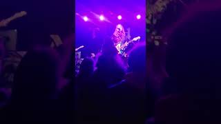 The Almost - Everyone Here Smells Like A Rat 1/19/20