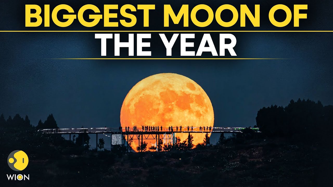 Supermoon 2025 LIVE:  Supermoon Lights Up Sydney Sky Over Bondi Beach | Spectacular Views | WION