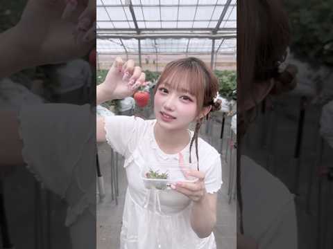 いちご狩り行ってきた🍓⸝⸝꙳よく見たら服にいちごの汁ついてる #noa #shorts