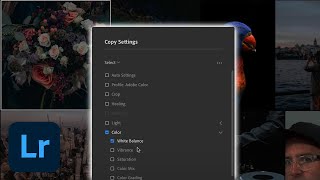 How to Auto Light & Color to Multiple Images in Adobe Lightroom