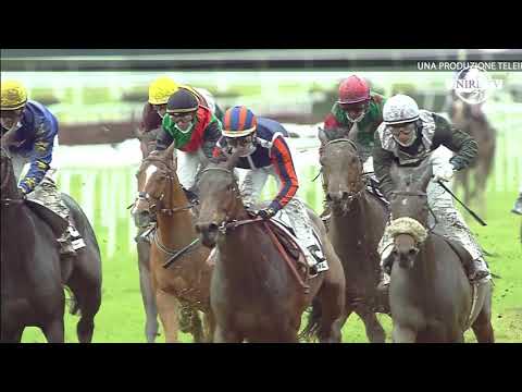 MOMENTI DI... PREMIO PISA