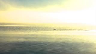 Du kan gå din egen väg Håkan Hellström Cover