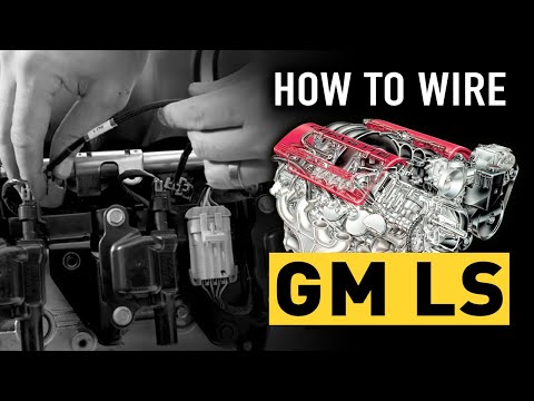 How to wire an LS engine | TECHNICALLY SPEAKING