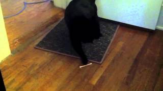 Adolescents - Welcome to Reality