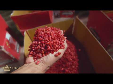 What is Barberry? Its taste? Benefits? and many other questions about this amazing unknown berry!