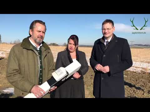 Wildwarnsystem AniMot soll Wildunfälle vermeiden