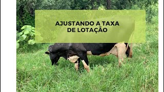 AJUSTANDO A TAXA DE LOTAÇÃO