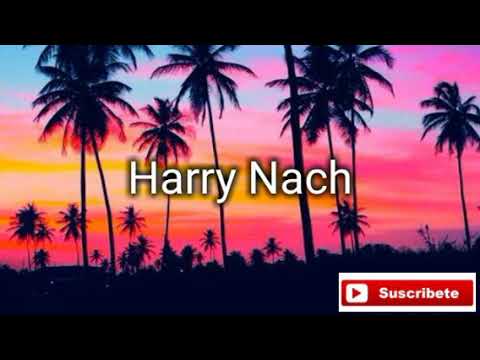 Harry Nach ❌ Hozwal - Que Loco Mami | Letras de músicas 2.0