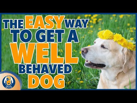 Getting A Happy Well Behaved Dog With The ABCs of Training #202 #podcast