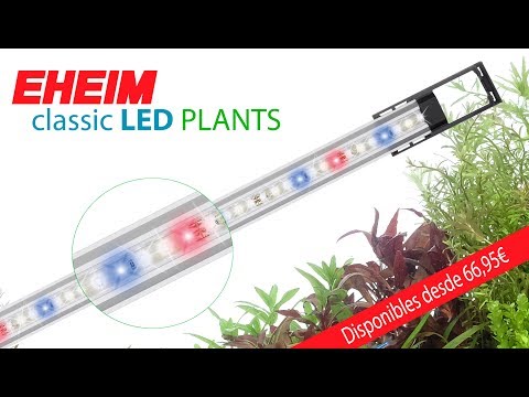 Watch Video on YouTube