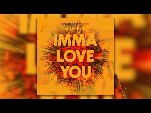 Tungevaag & Steerner x Sebastian Ingrosso & Alesso - Imma Love You x Calling (Nick Niroz Mashup)
