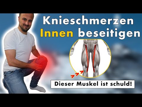 Knee pain inside (is not cartilage damage!) | Cause & solution through exercises