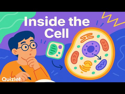 Cell Structure and Function Explained | Biology Crash Course