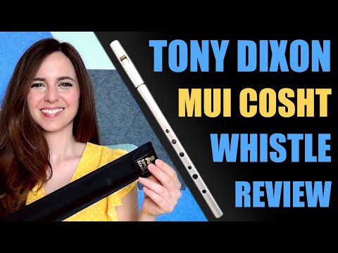Trying the Tony Dixon 'Mui Cosht' Tin Whistle | PENNYWHISTLE REVIEW