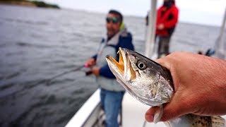 VentureTube: Florida Inshore FISHING with Live Shrimp and GULP!!