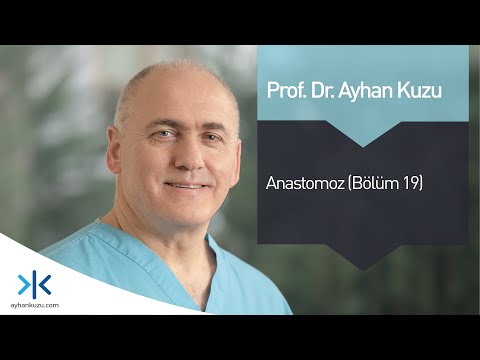 Anastomoz: Bölüm 19