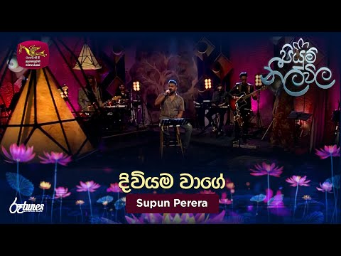 Diwiyama Wage | දිවියම වාගේ | Supun Perera| Piyum Neela Vila | Roo Tunes