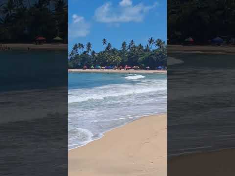 #PraiaDoCoqueirinho ☀️🌊🌴⛱️ #Conde #Paraiba