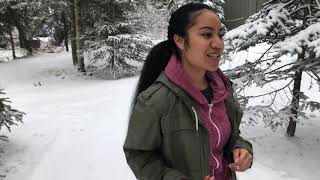 Cases | Poetry Video w/ Poem