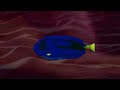 Nemo And Dory Ur The Only Whale Mouth Inside