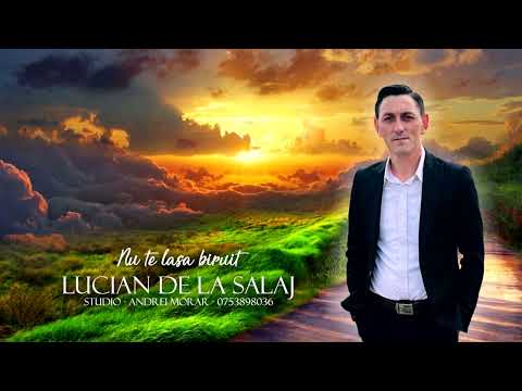 Lucian de la Sălaj - Nu te lăsa biruit (cover - Sorin de la Bărbulești)