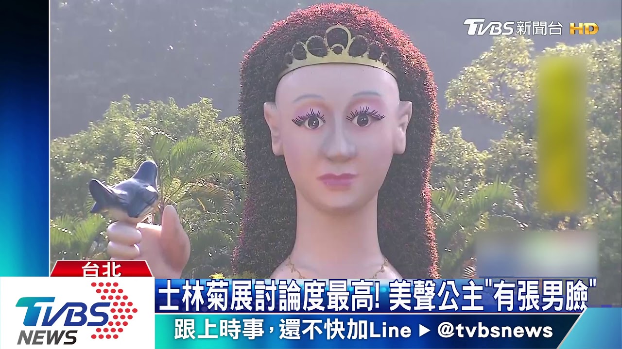 士林菊展討論度最高! 美聲公主「有張男臉」