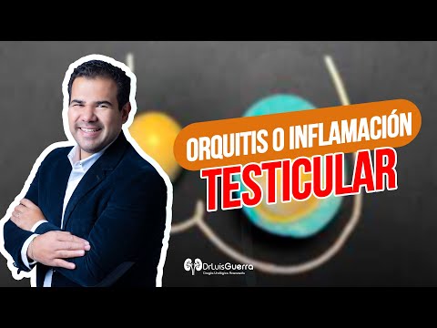 ORQUITIS | Inflamación Testicular