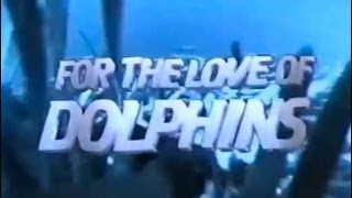 For the Love of Dolphins