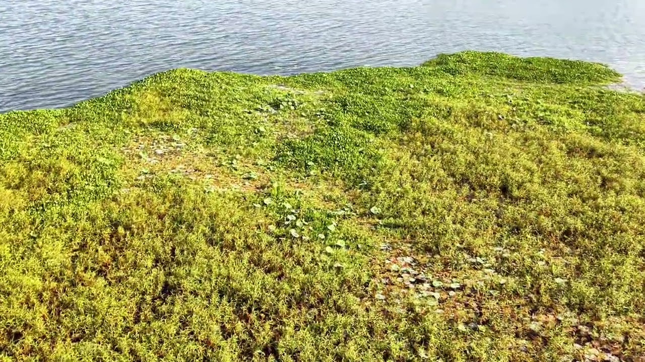 Behold the beautiful soaring vistas of Tissa Lake.