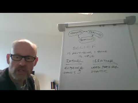 Disputing Irrational Beliefs