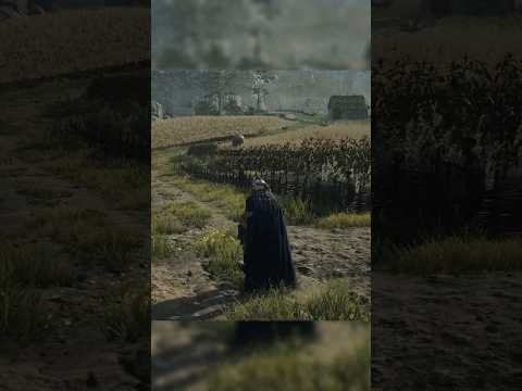 Immersion Details in Dragon's Dogma II