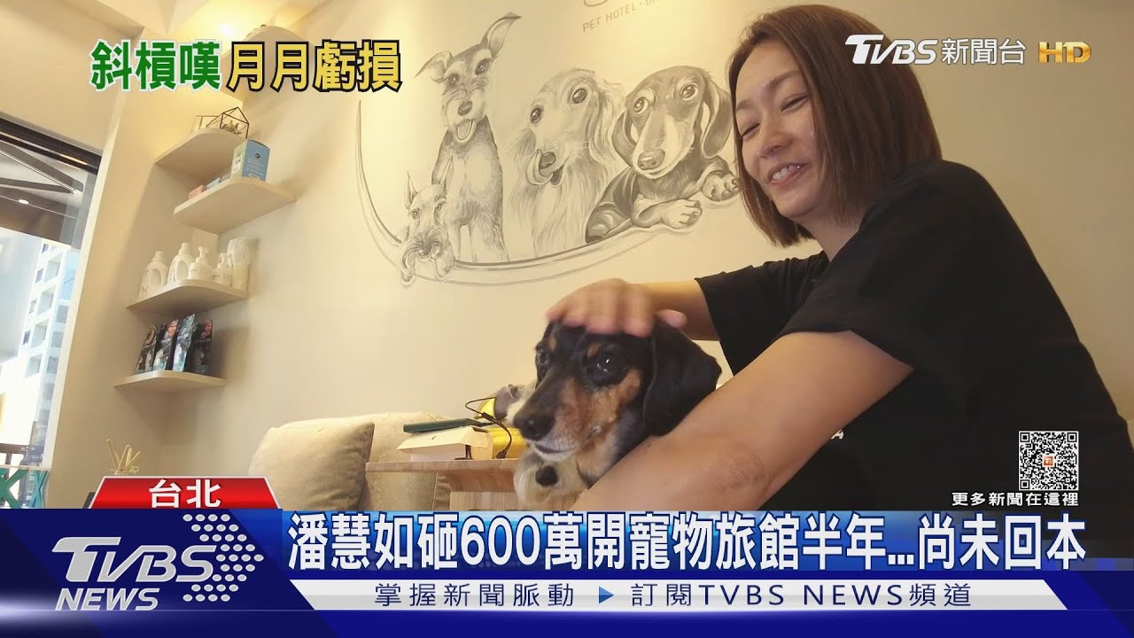潘慧如砸600萬開寵物旅館! 「半年慘未回本」曝遭客人情緒勒索