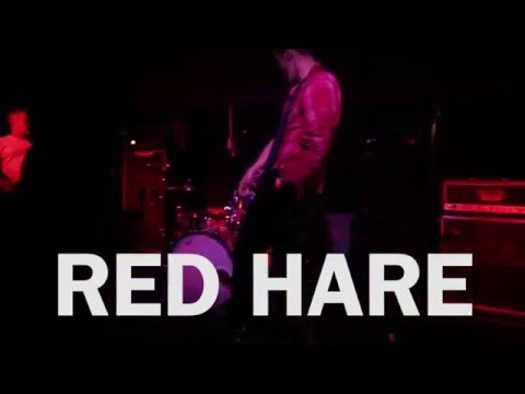 Red Hare - Silverfish